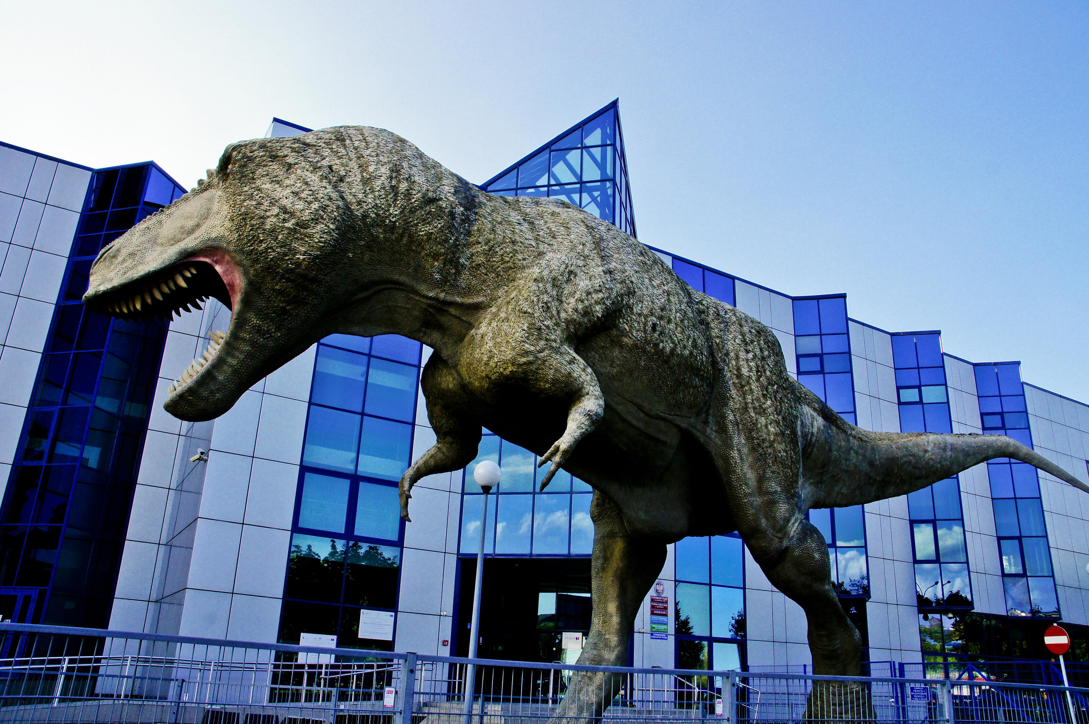 Muzeum Nauk o Ziemi w Sosnowcu